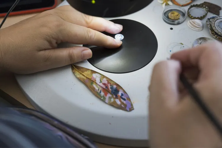 Bemalen eines Blattes unter einem Mikroskop